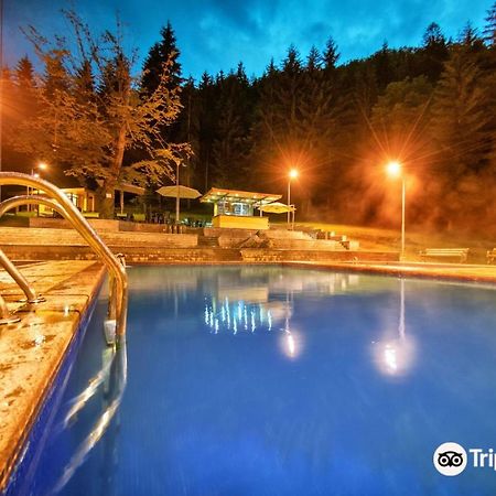 Day In Borjomi Apartment Bagian luar foto