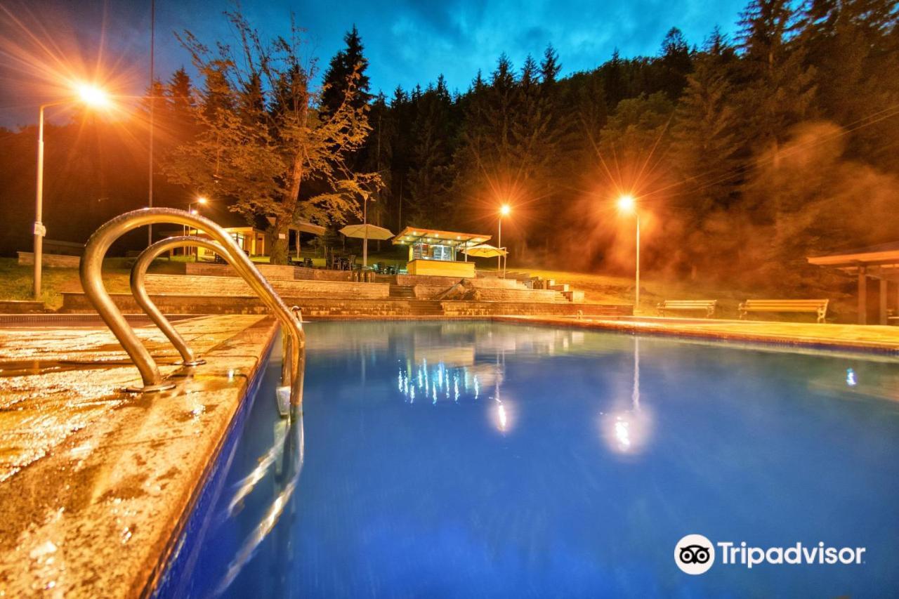 Day In Borjomi Apartment Bagian luar foto